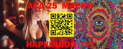 дживик Кингисепп