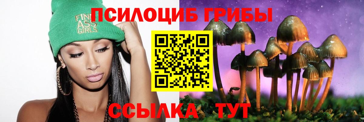 Псилоцибиновые грибы MAGIC MUSHROOMS Кубинка