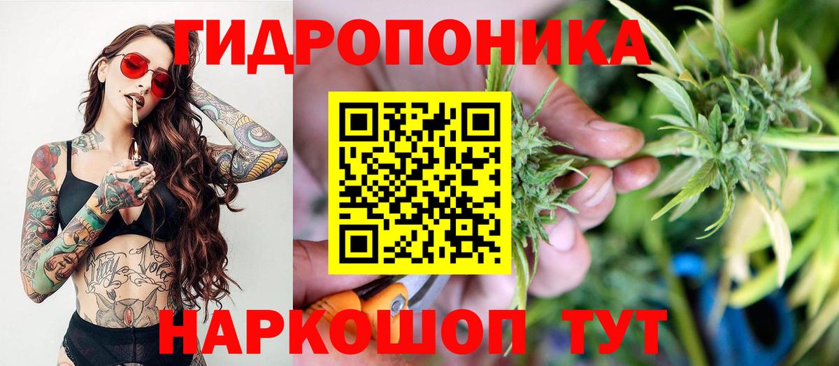 Канабис Bruce Banner Кубинка